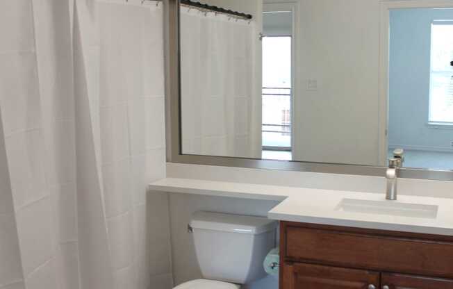 a bathroom with a toilet and a sink and a mirror