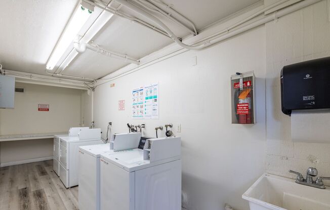 Studio, 1 bath, 400 sqft, $1,750, Unit 303