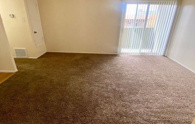 Studio, 1 bath, 445 sqft, $794, Unit 242