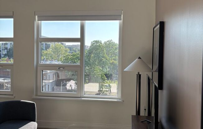 1 bed, 1 bath, 569 sqft, $2,199, Unit 409