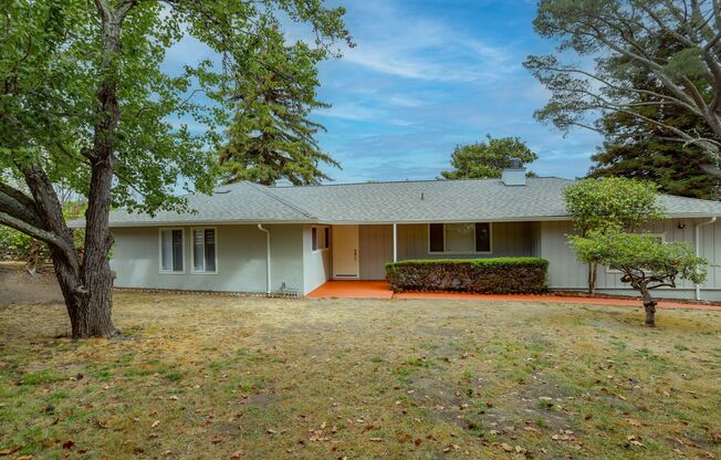 3 Bed / 3 Bath + Bonus room pet friendly Millbrae home with pool on a 1/2 acre lot. YouTube tour!!