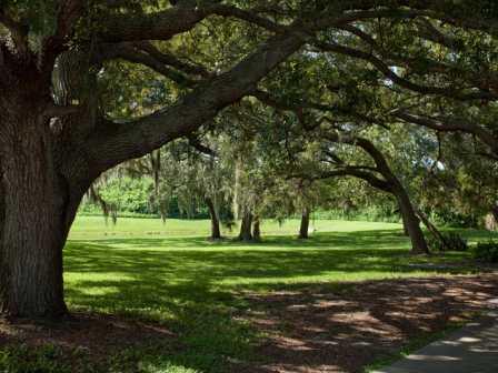 Green Spaces With Mature Trees at L'Estancia, Sarasota, 34231