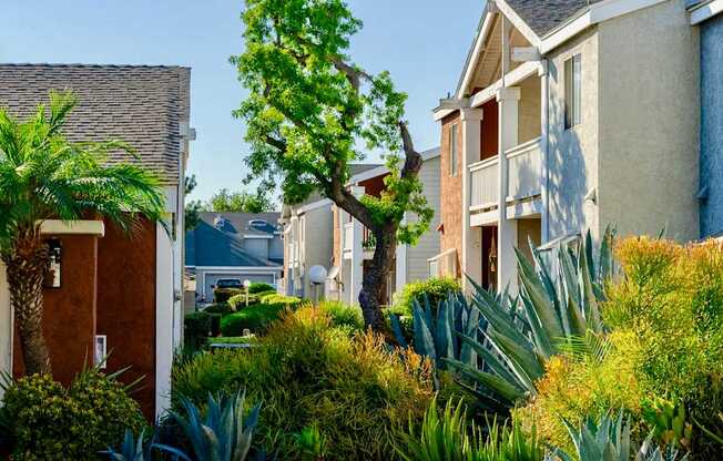 A row of apartment homes with lush green landscaping and balconies.