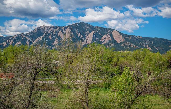 Newly renovated home in Central Boulder with mountain views