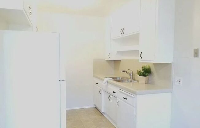 Cypress Street Apts