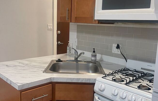 Studio, 1 bath, 330 sqft, $875, Unit 204