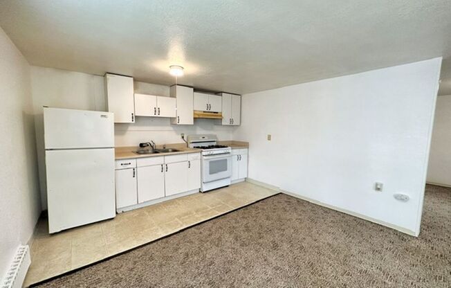 Studio, 1 bath, 500 sqft, $895, Unit 01