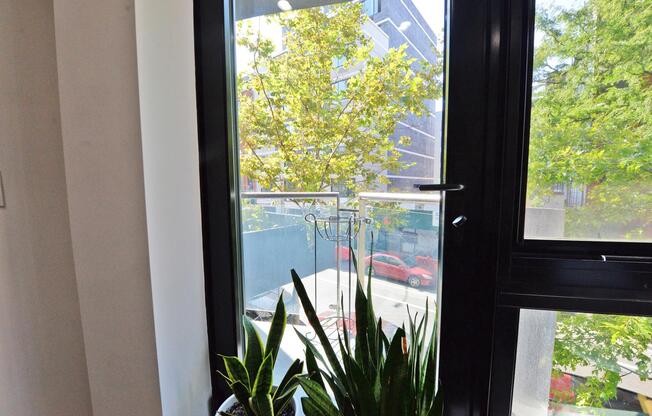 2 beds, 1 bath, 1,000 sqft, $3,895, Unit 206