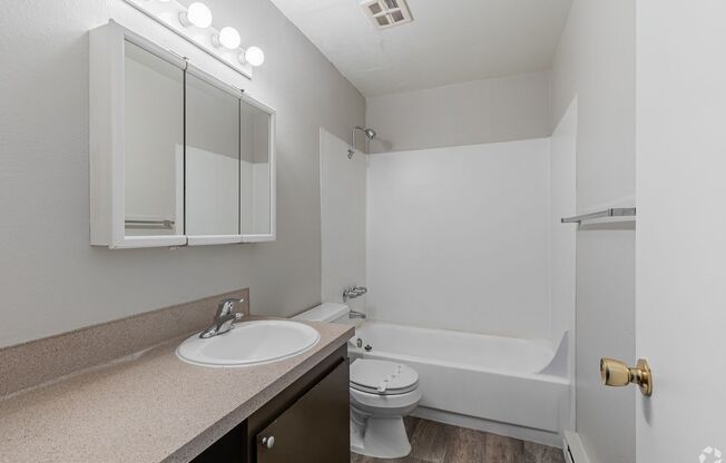 Studio, 1 bath, 355 sqft, $1,040