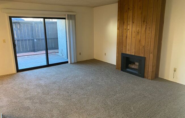 Large 1BR Condo with 2 Parking Spots & Patio