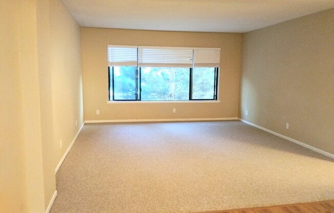 2 beds, 1 bath, $1,395