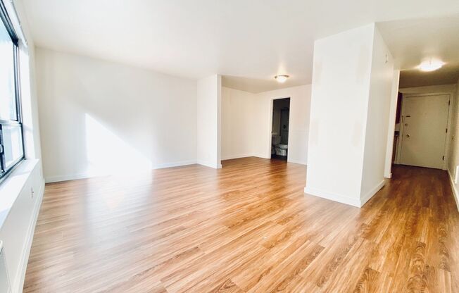 Studio, 1 bath, 459 sqft, $1,495, Unit 403