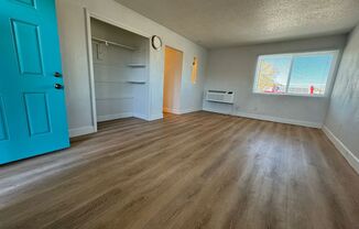 Studio, 1 bath, $800, Unit 202