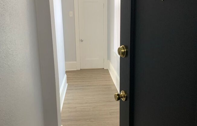 Studio, 1 bath, 240 sqft, $1,300, Unit 303
