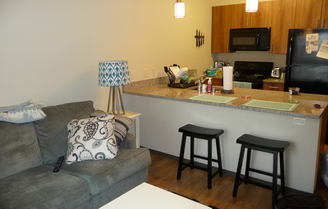 Studio, 1 bath, 500 sqft, $1,595, Unit #219