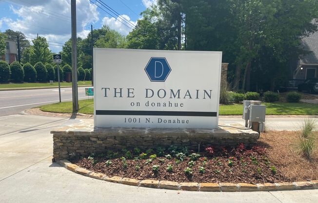 The Domain on Donahue