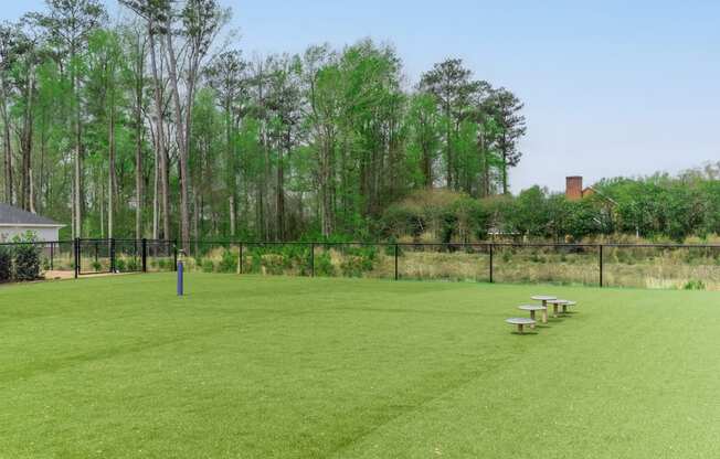 a picnic table on a grassy field with trees in the background