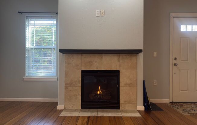 1 bed, 1 bath, 742 sqft, $1,695, Unit #102