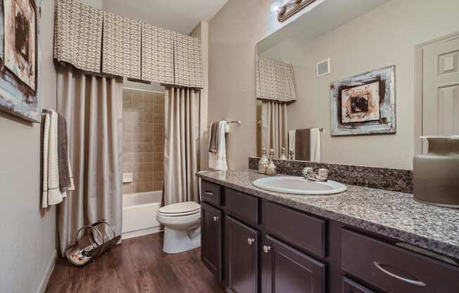 a bathroom with a sink and a toilet