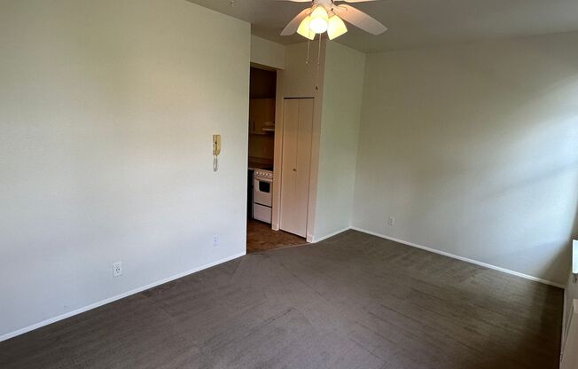 Studio, 1 bath, 270 sqft, $750, Unit 213