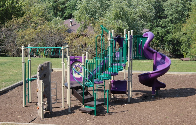 a playground with a purple and green slide