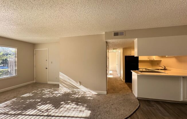 2 beds, 1 bath, 895 sqft, $1,700, Unit 494803