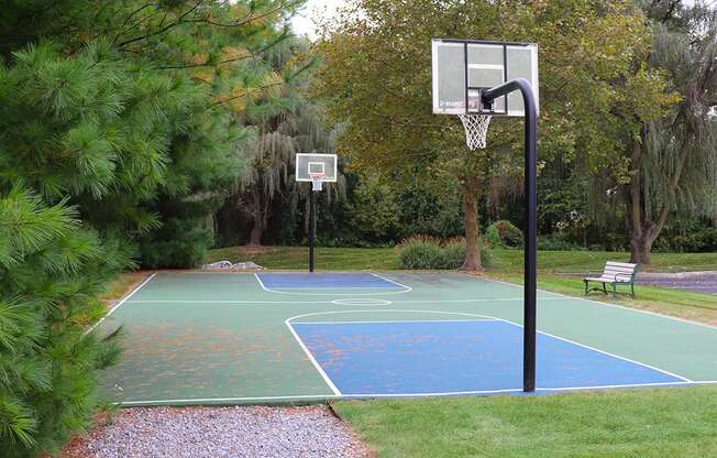 a basketball court in a park with two basketball hoops