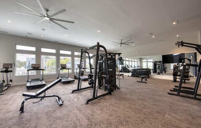 a gym with weights and other exercise equipment in a large room with windows