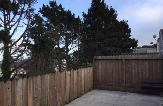 15 MORTON DR