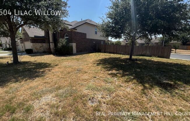 5504 LILAC WILLOW