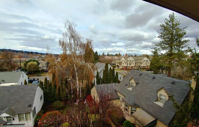 Studio, 1 bath, 300 sqft, $695, Unit 24