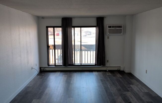 1 bed, 1 bath, 700 sqft, $1,050, Unit 100