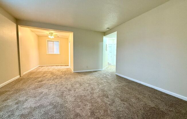 1 bed, 1 bath, $1,299, Unit 3