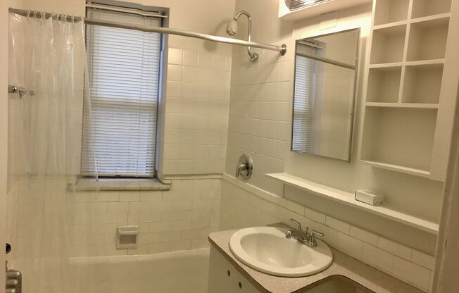 Studio, 1 bath, 233 sqft, $1,290, Unit 201