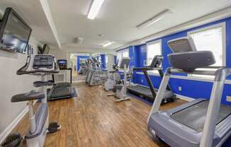 a gym with cardio equipment and treadmills