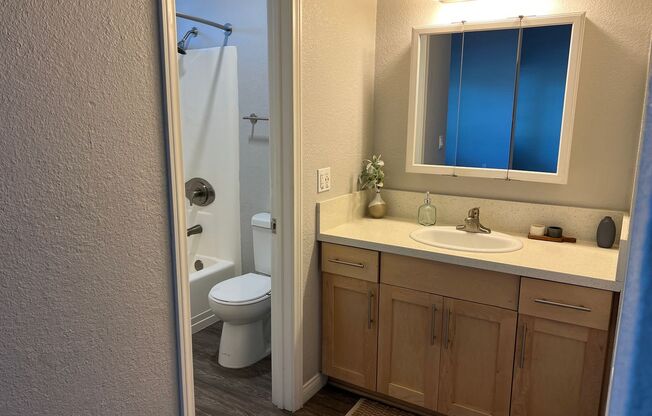 1 bed, 1 bath, 480 sqft, $2,255, Unit 99