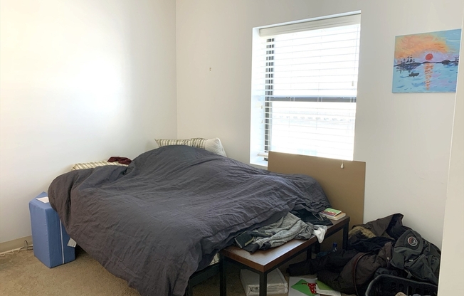 1 bed, 1 bath, 518 sqft, $2,675, Unit 505