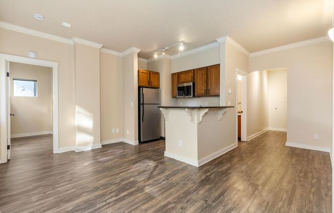 1 bed, 1 bath, 517 sqft, $1,750, Unit 508
