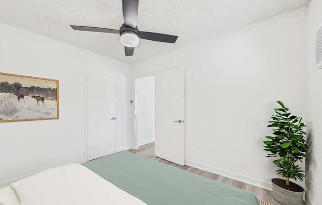 A room with a bed, a ceiling fan, and a potted plant.