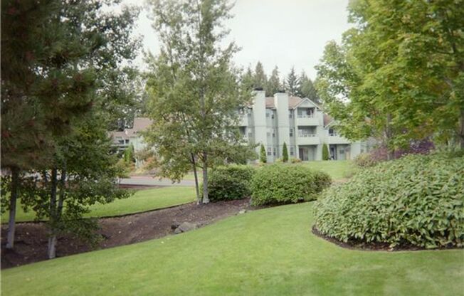 1 bed, 1 bath, 543 sqft, $1,545, Unit S201