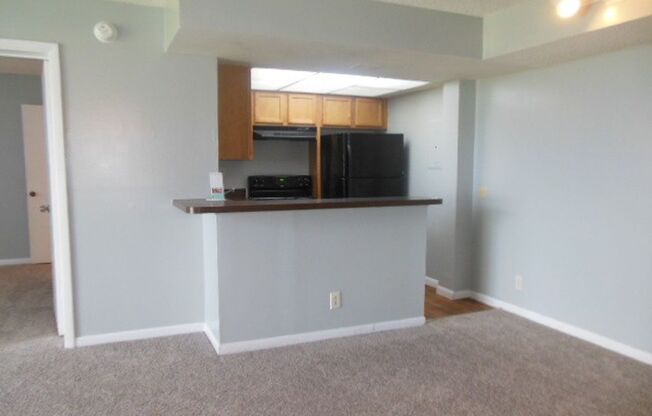 TWO BEDROOM TWO BATHROOM!! FULL LAKE VIEW!