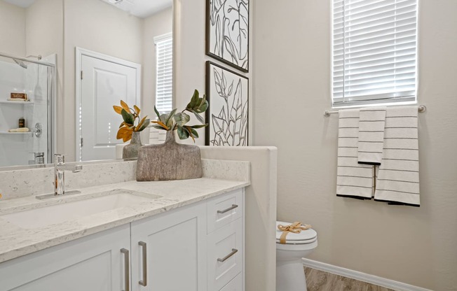 a bathroom with a sink and a toilet and a mirror