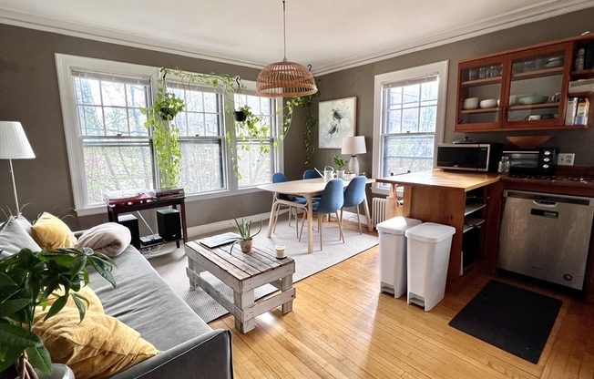 34 Ash St Unit 204