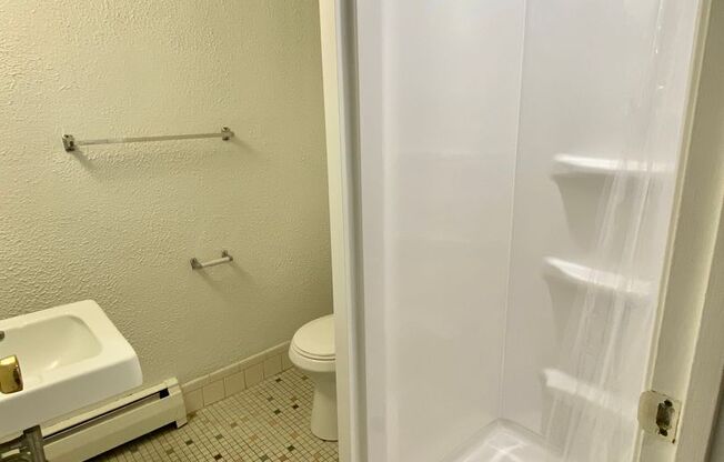 1 bed, 1 bath, 450 sqft, $1,195, Unit 110