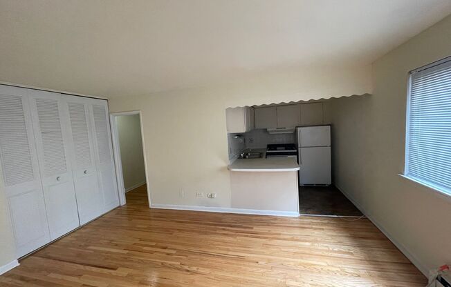 421 W Barry Ave, Chicago IL 414