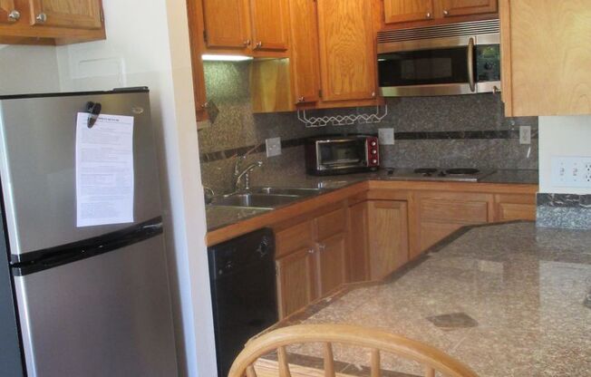 Studio, 1 bath, 250 sqft, $1,245, Unit 211