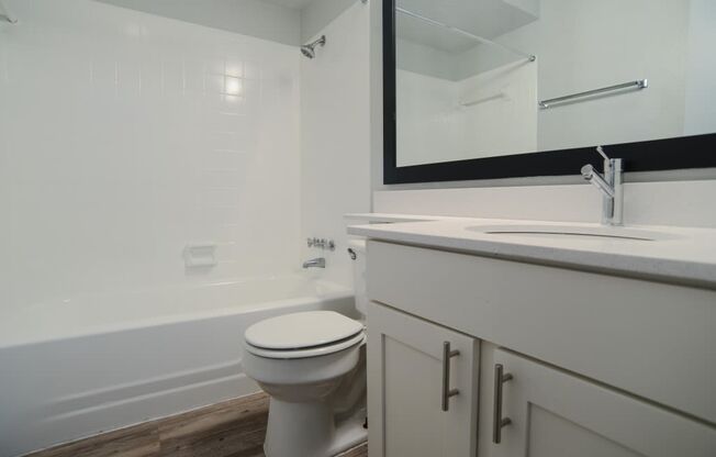 a bathroom with a sink and a toilet and a tub