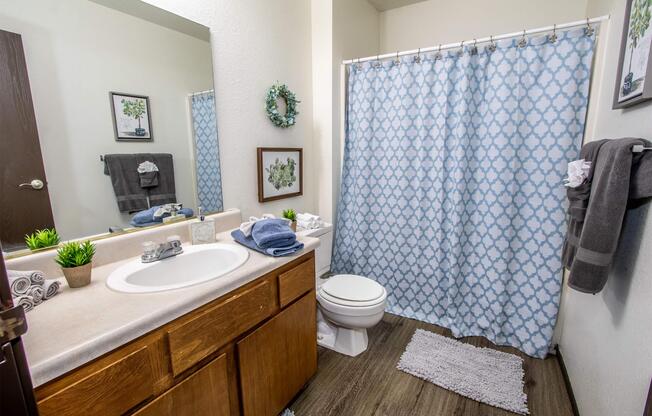 1 bed, 1 bath, 702 sqft, $819