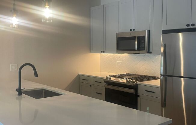 1 bed, 1 bath, 977 sqft, $2,895, Unit 307