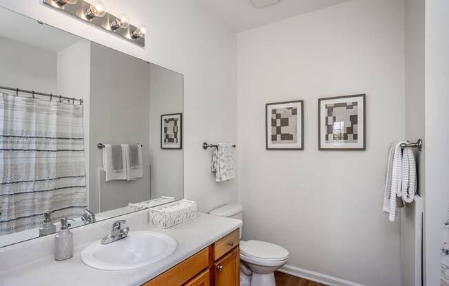 a bathroom with a large mirror and a toilet next to a sink